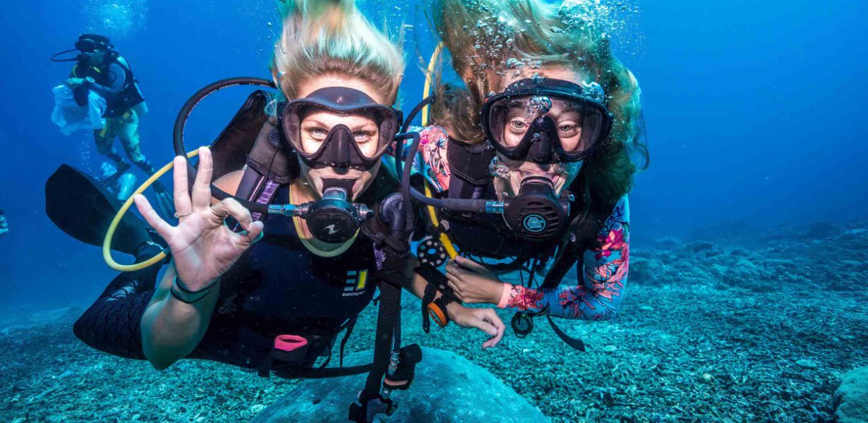 Discover Expedition Snorkel Unveiling Underwater Wonders